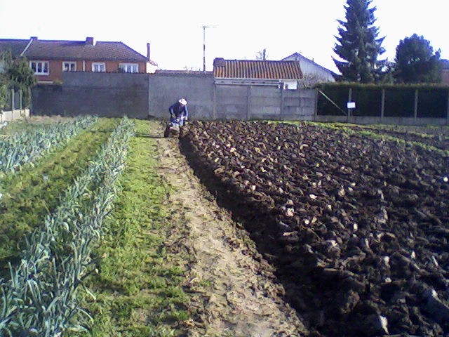 jardin fevrier 2011